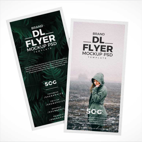 Flayer DL (Avro)